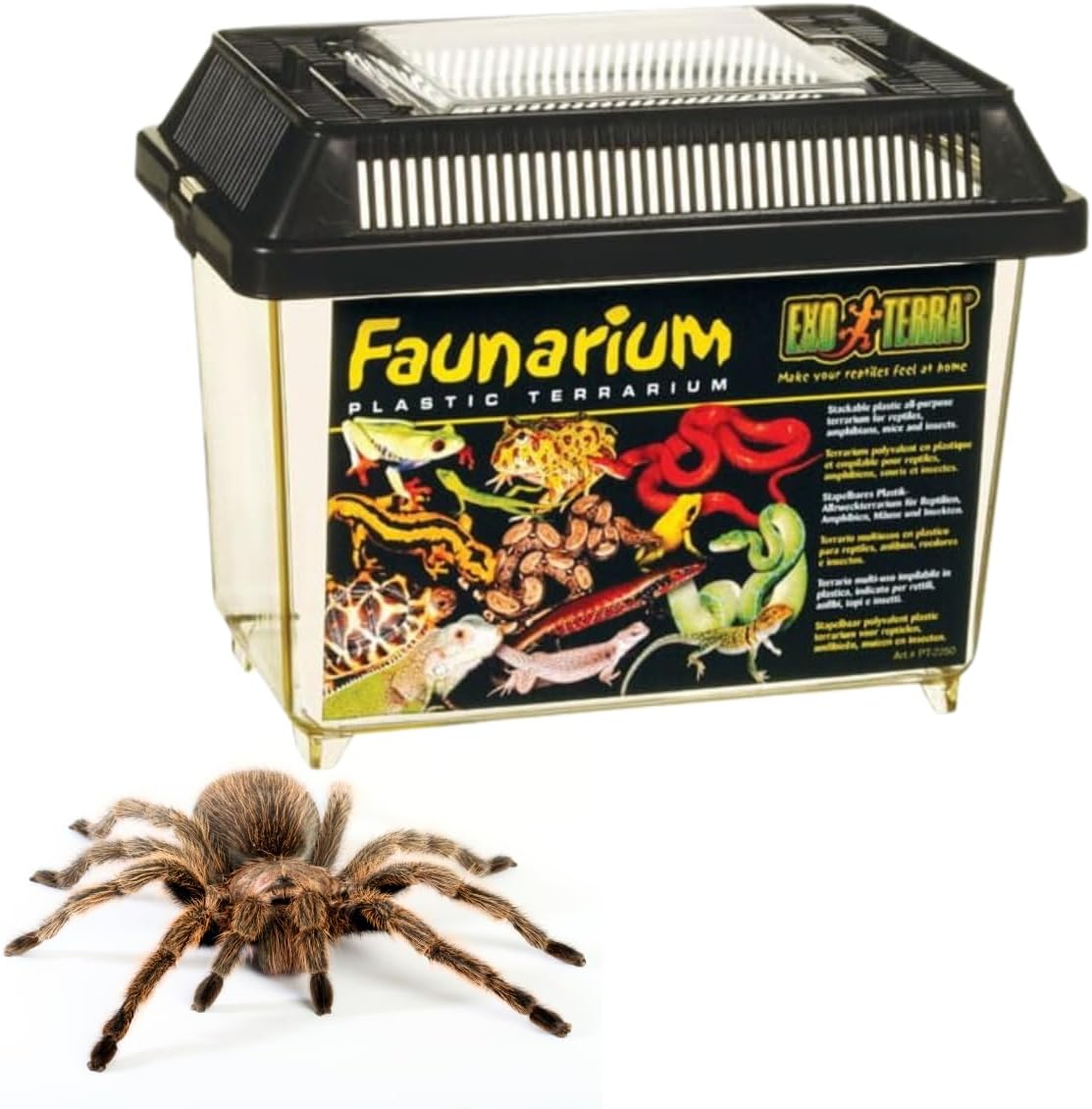 Exo Terra Faunarium - Bild 5