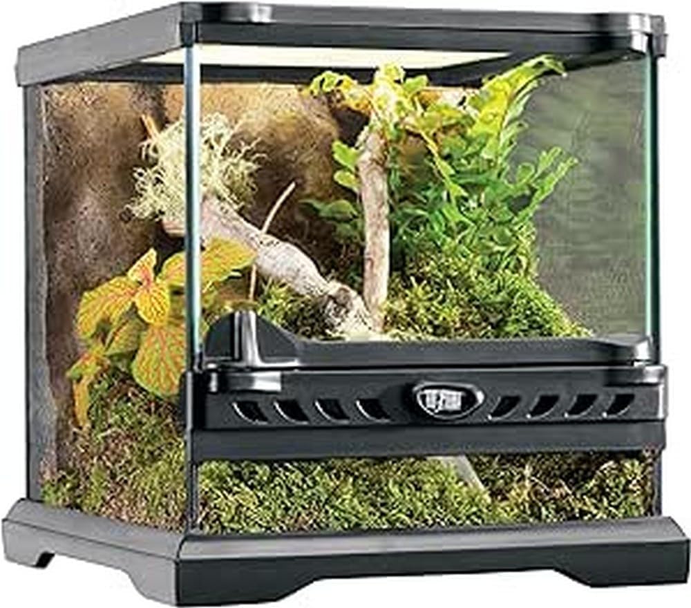 Exo Terrarium aus Glas