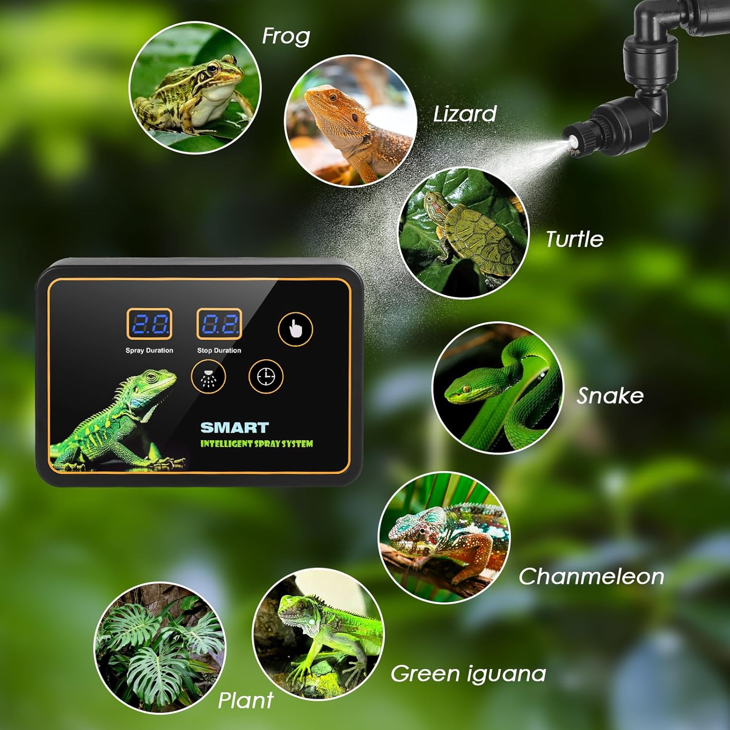 GuKKK Terrarium - Bild 5