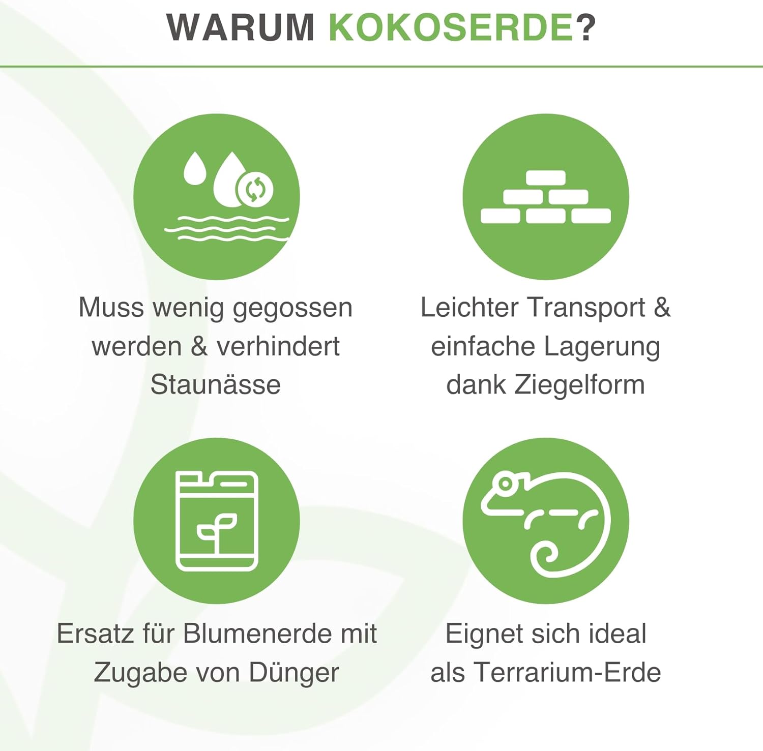 yayago Kokoserde Terrarium-Substrat - Bild 4
