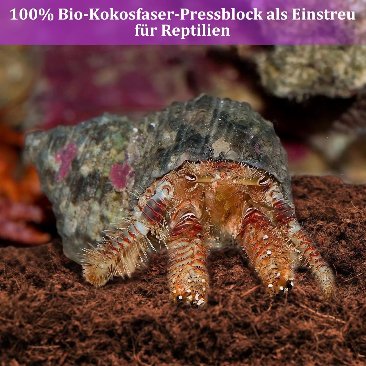 Riare Kokosfaser-Substrat - Bild 4