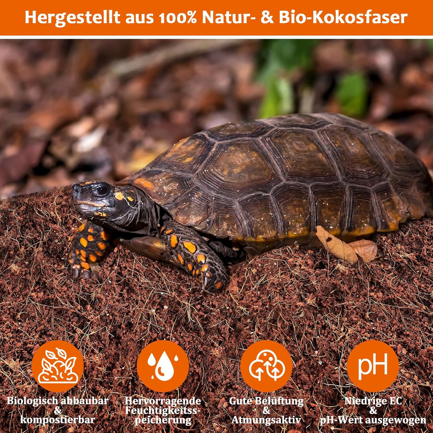 Riare Kokosfaser-Substrat - Bild 4