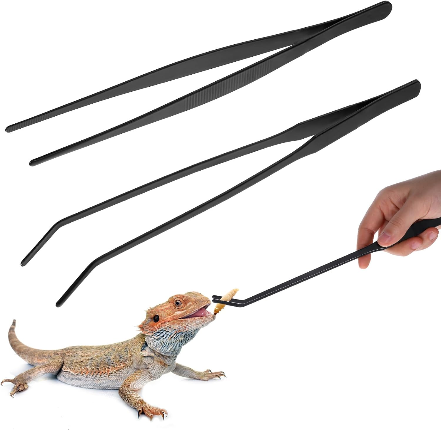 Lnngub Futterpinzette Edelstahl 25 cm