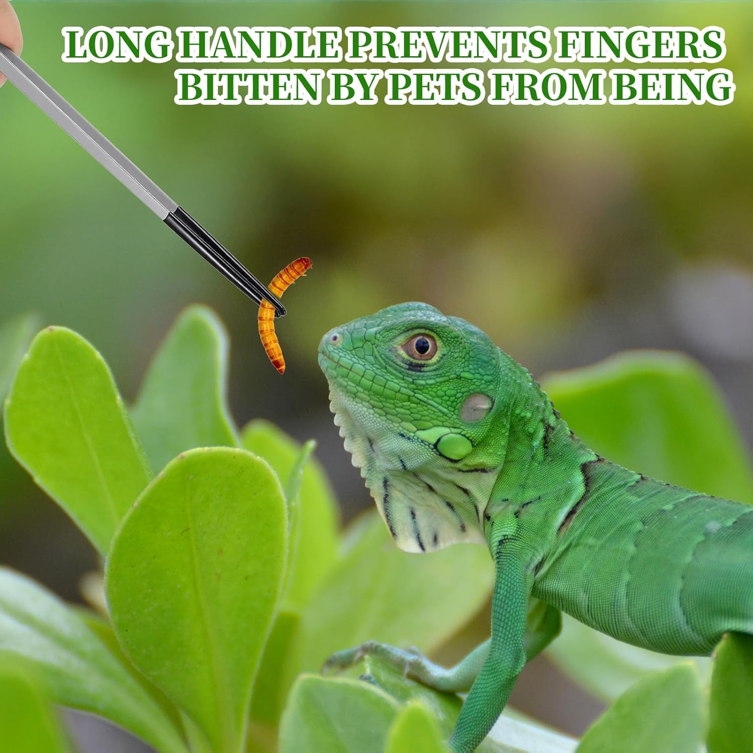 SHENLIU Futterpinzette Edelstahl 27 cm - Bild 5