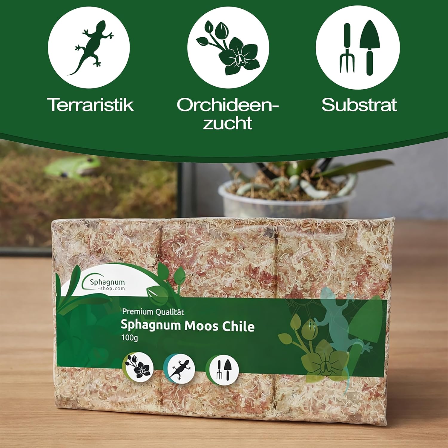 sphagnum-shop.com Sphagnum Moosziegel für Terrarium und O... - Bild 2