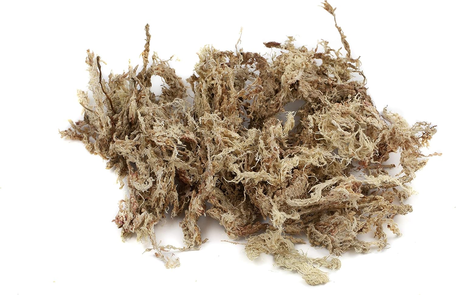 sphagnum-shop.com Sphagnum Moosziegel für Terrarium und O... - Bild 5