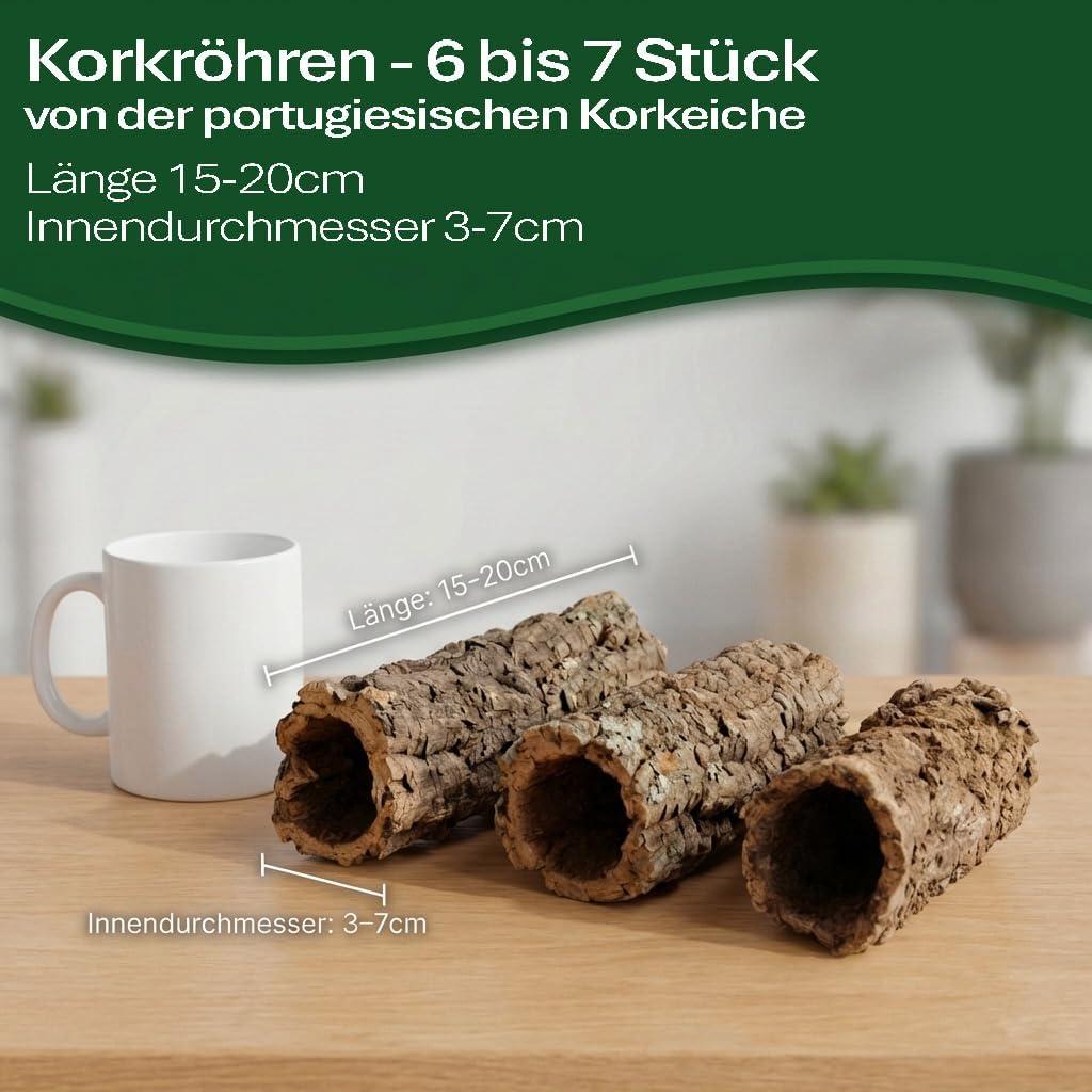 sphagnum-shop.com Terrarium - Bild 4