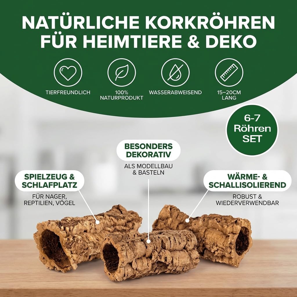 sphagnum-shop.com Terrarium - Bild 5
